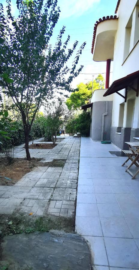 Amazon Spacious 3Bedroom Premium Neighbourhood Αθήνα Εξωτερικό φωτογραφία